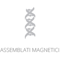 Assemblati magnetici